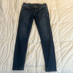Express Skinny Jean
